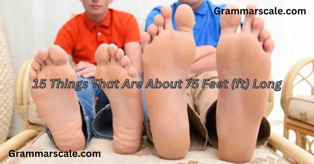 15 Things That Are About 75 Feet (ft) Long