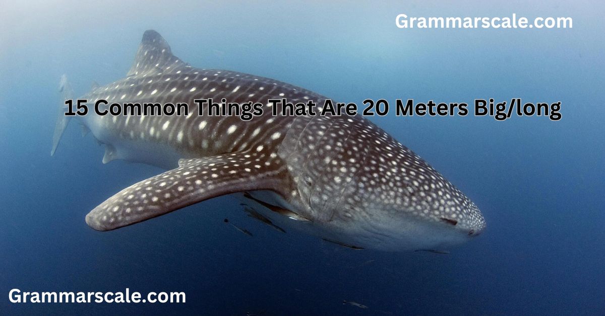 Common Things That Are 20 Meters Biglong