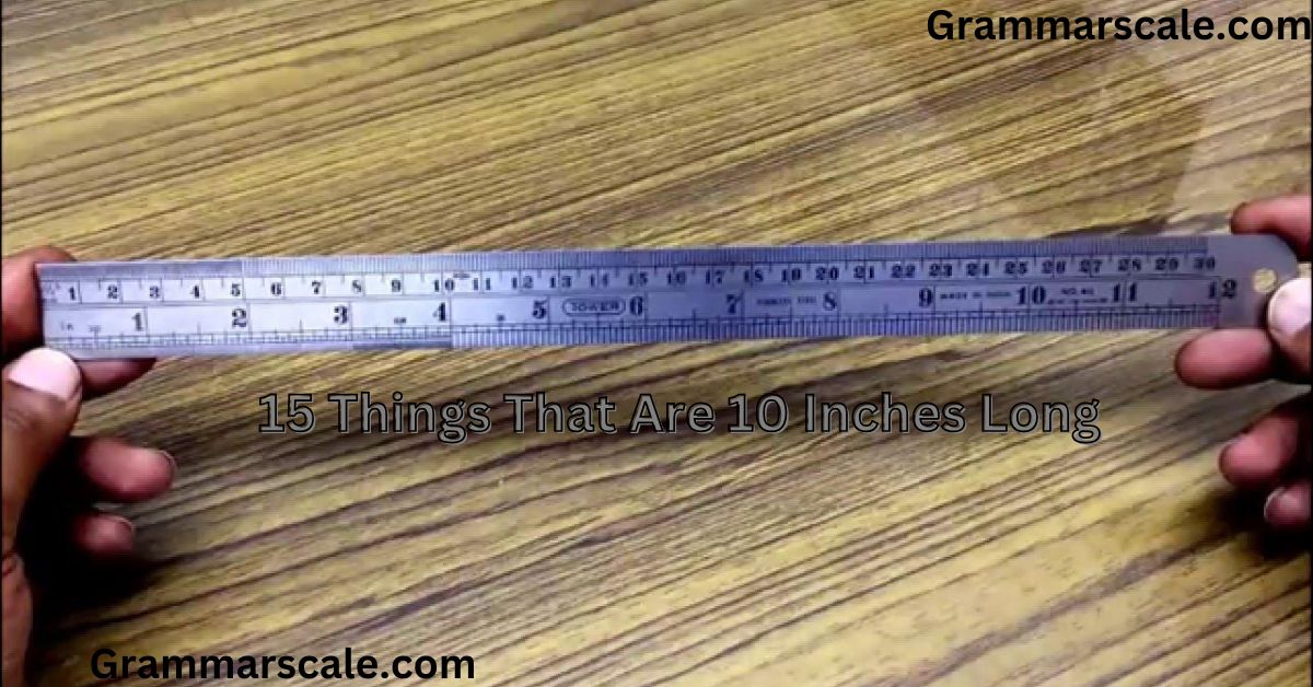 Things That Are 10 Inches Long