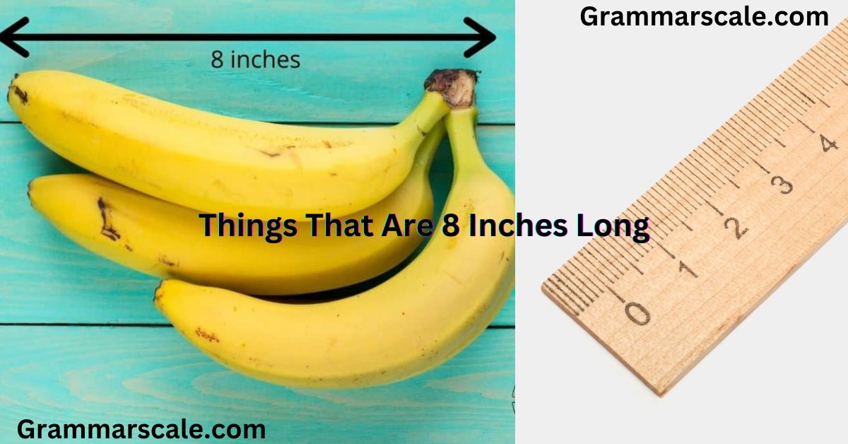 Things That Are 8 Inches Long