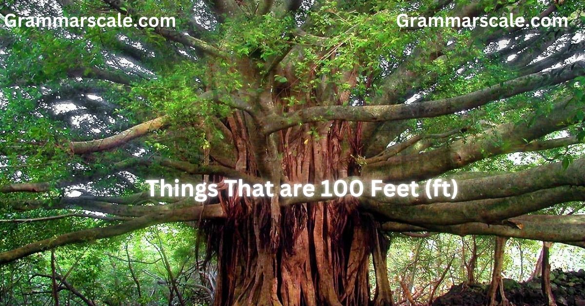 Things That are 100 Feet (ft)