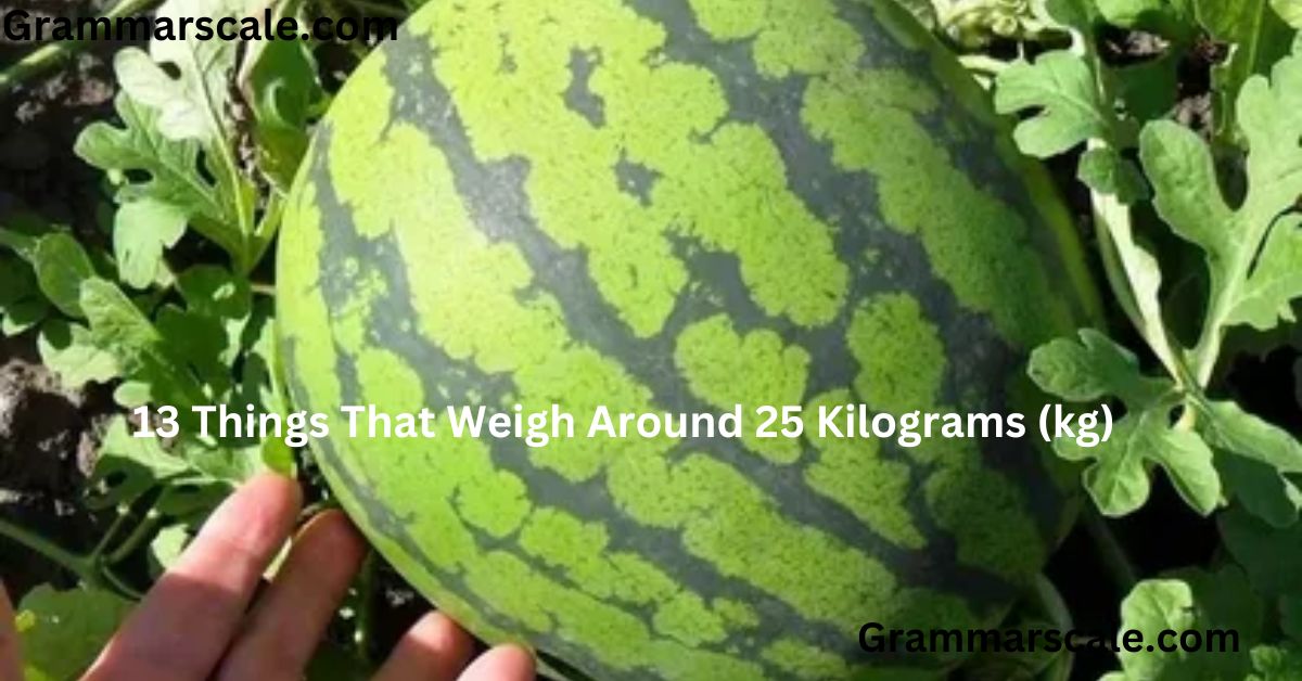 25 Kilograms (kg)